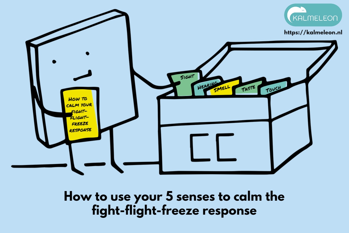 how to use your 5 senses to calm the fight-flight-freeze response